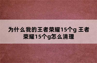 为什么我的王者荣耀15个g 王者荣耀15个g怎么清理